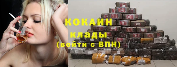 сатива Баксан