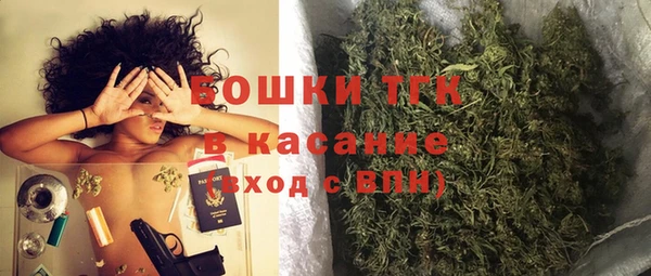 сатива Баксан