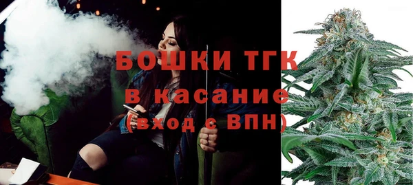 дживик Белокуриха